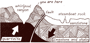 cross-section